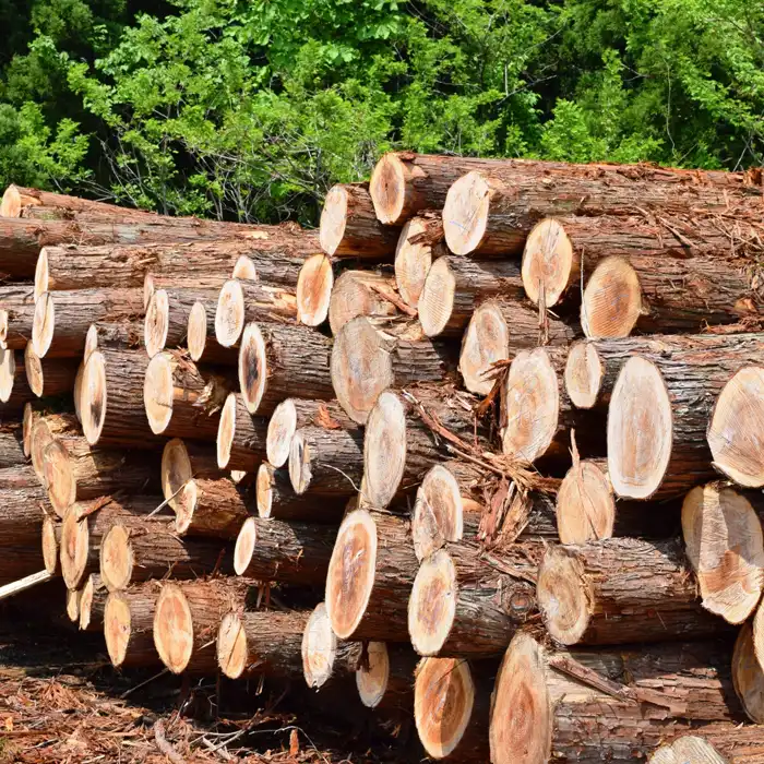 国際情勢に左右されない100%国内循環型