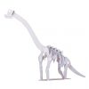 【楽天市場】白ダンボール恐竜工作キット　ブラキオサウルス　のりもはさみも使わずに